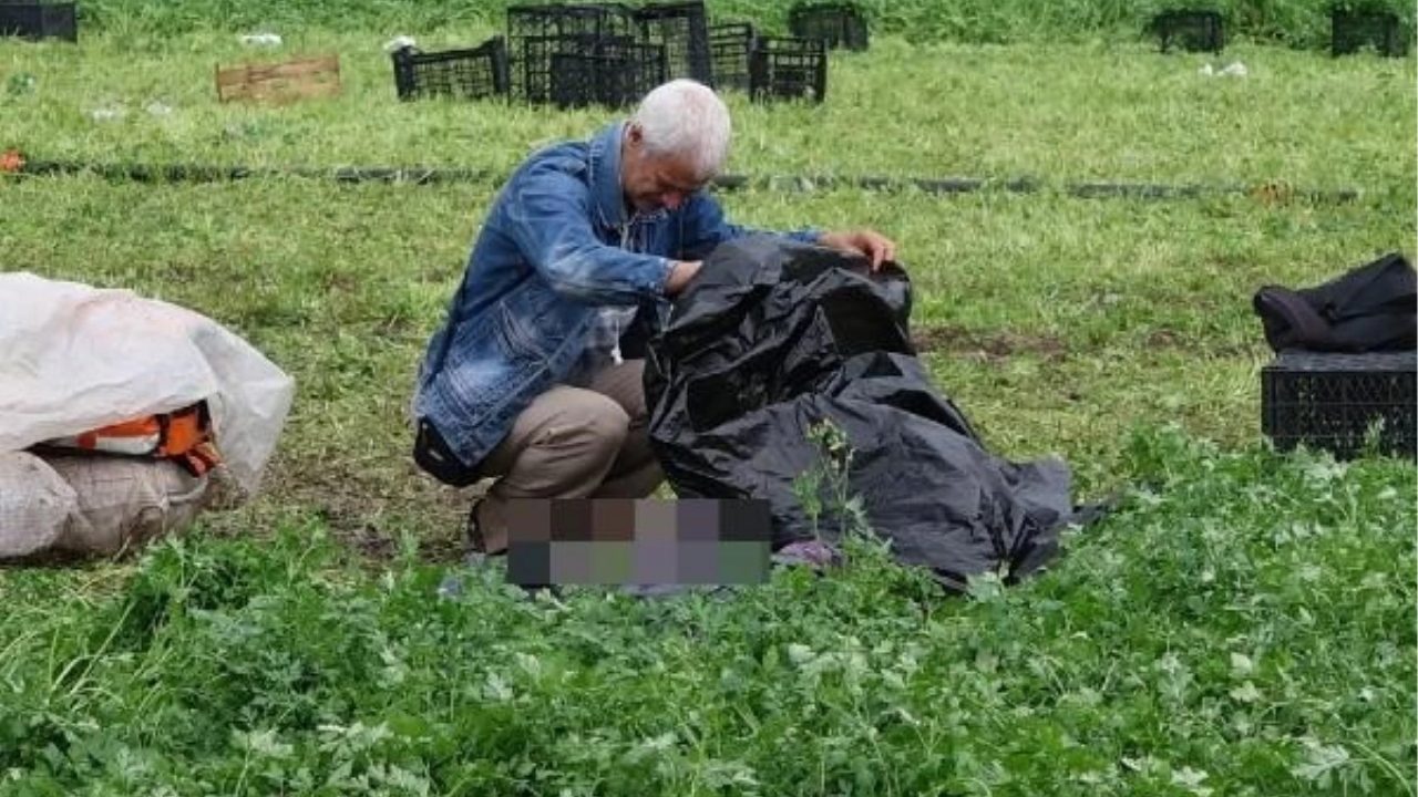 Bursa'da İşçi Yıldırım Çarpması Sonucu Hayatını Kaybetti