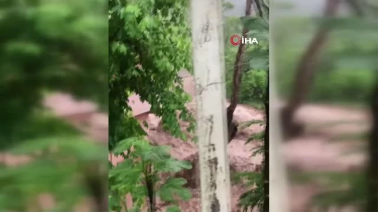 Bursa'nın Orhangazi ilçesi sele teslim oldu