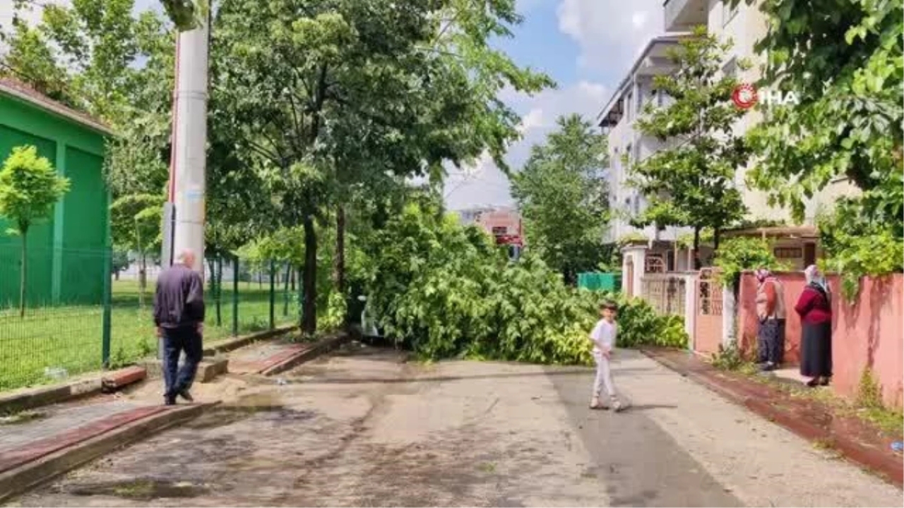 Sağanak yağış ve fırtına Bursa'da zor anlar yaşattı