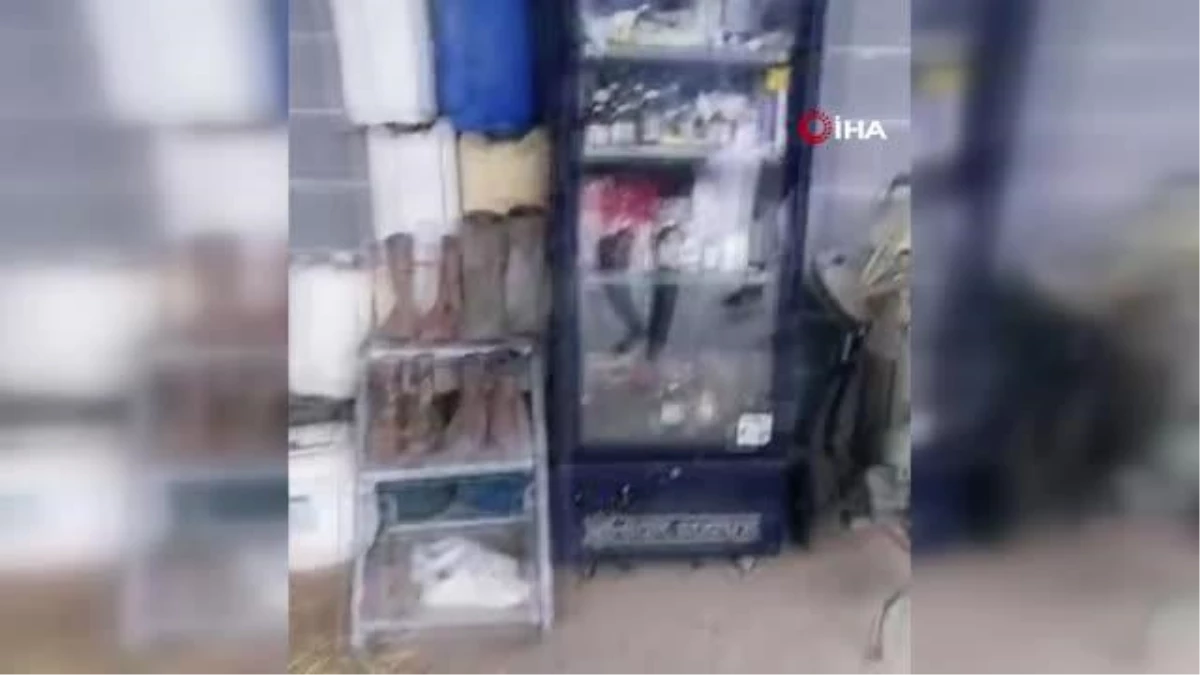 İneğe içki veren kişi tutuklandı