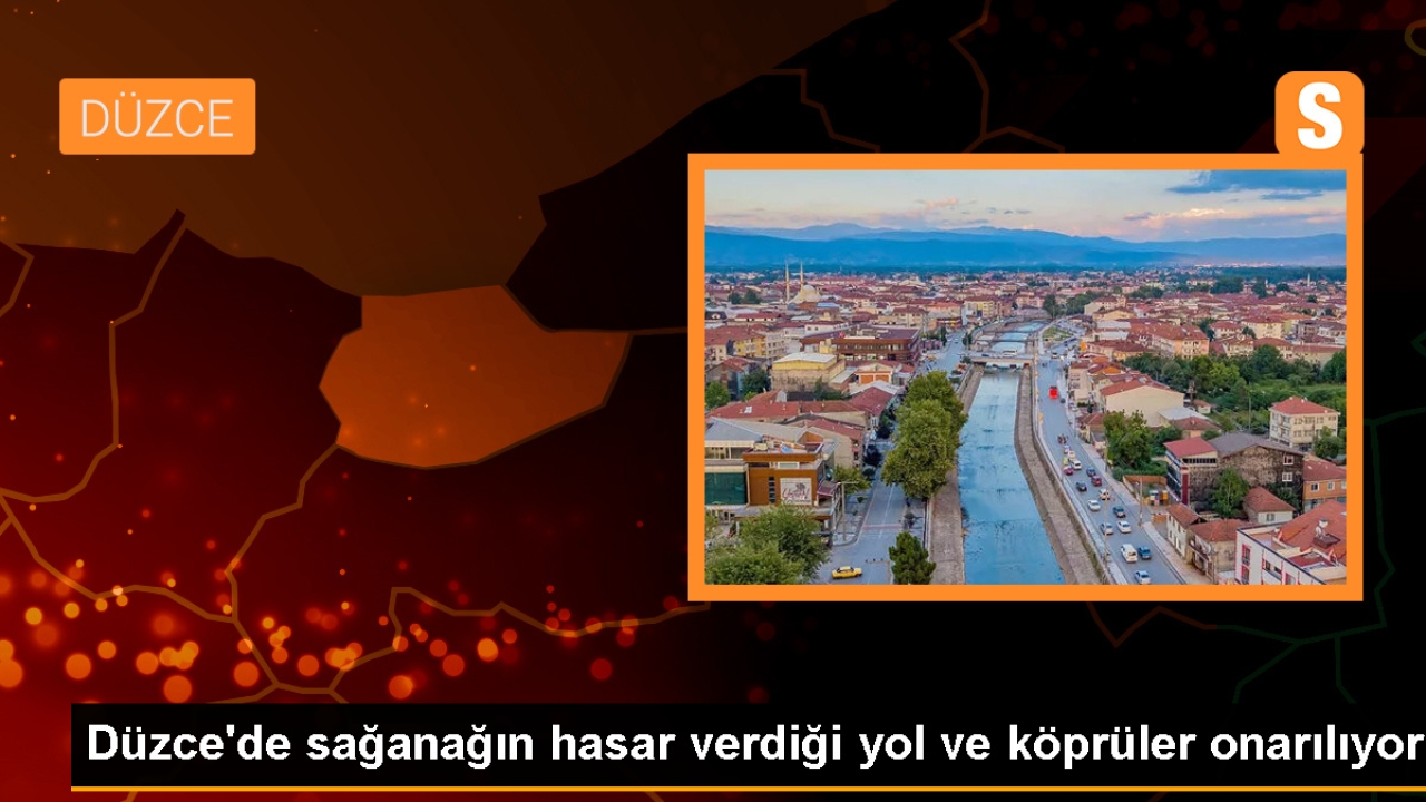 Düzce'de Şiddetli Yağış Yol ve Köprüleri Zarar Verdi