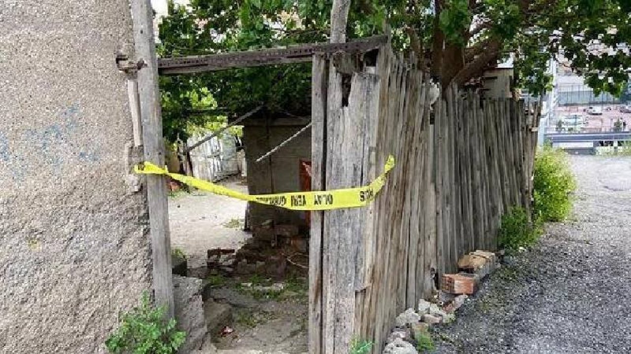 Ev sahibini 'köpek besleme' tartışmasında öldüren kiracı tutuklandı