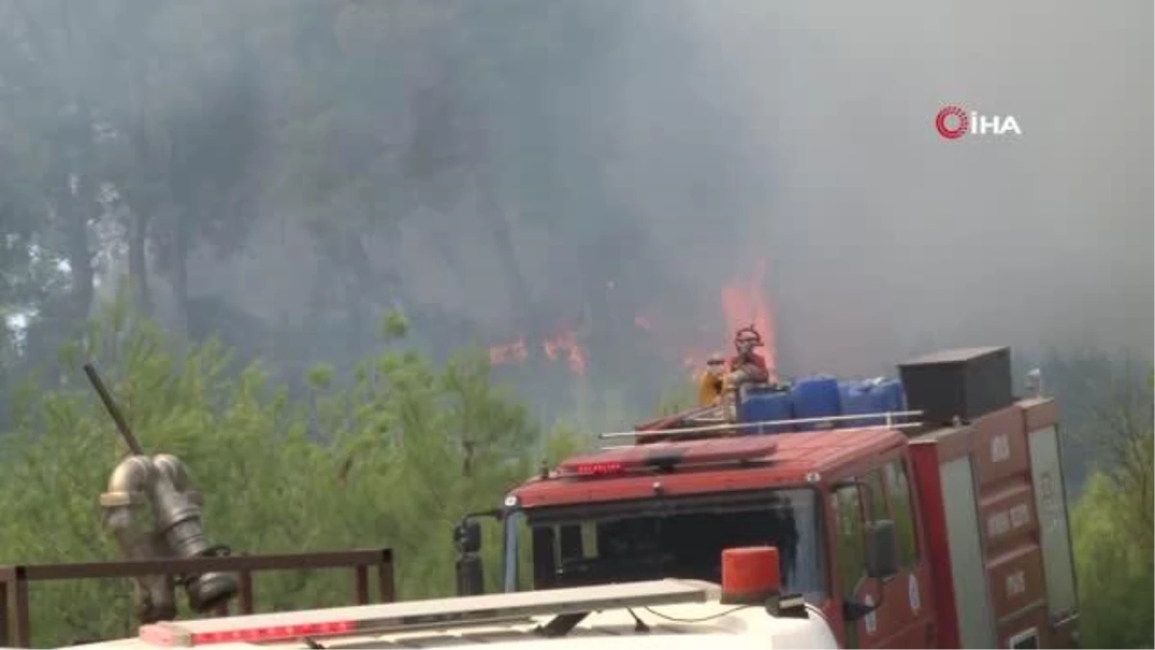 Antalya'daki orman yangını 1 saatte kontrol altına alındı