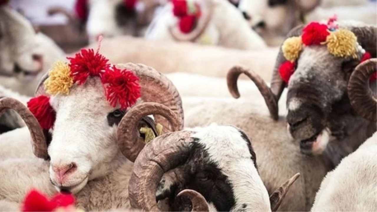 Kurban Bayramı'nda çevre kirliliğine karşı tedbirler alındı