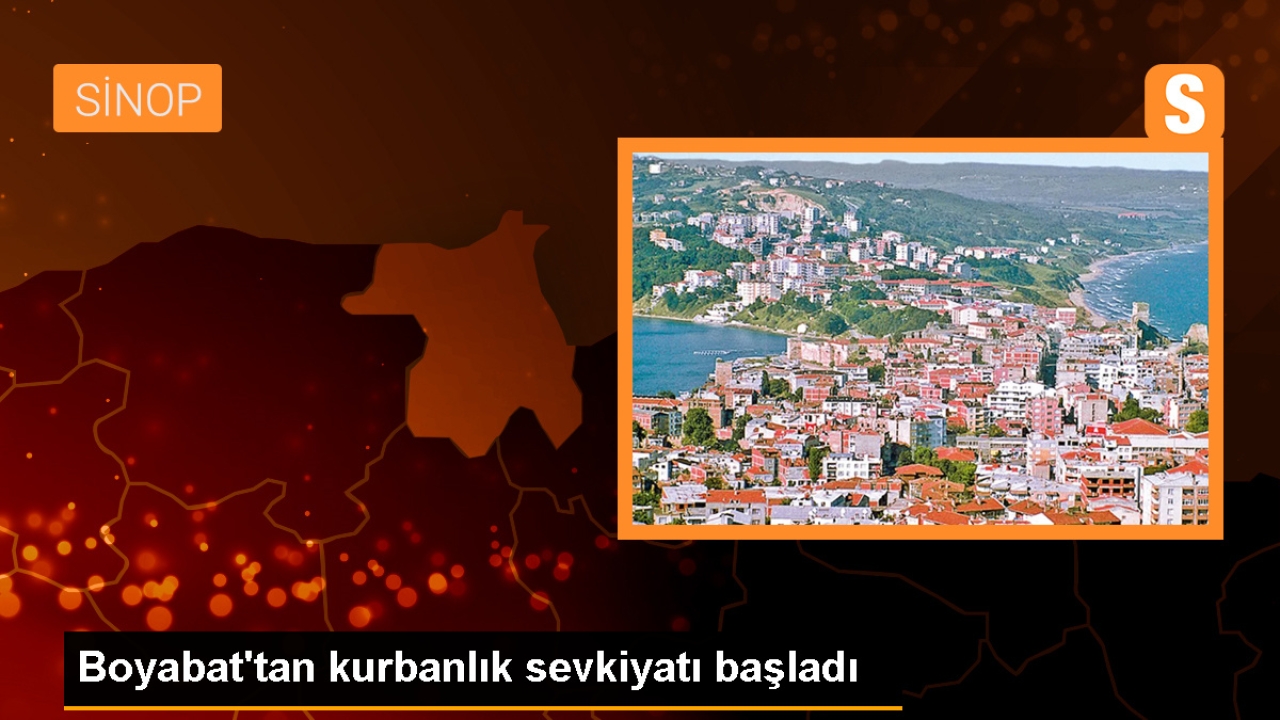 Sinop'tan Diğer İllere Kurbanlık Sevkiyatı Başladı