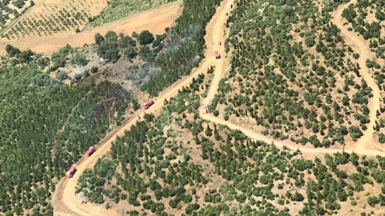Manisa'da orman yangını; kısmen kontrol altına alındı
