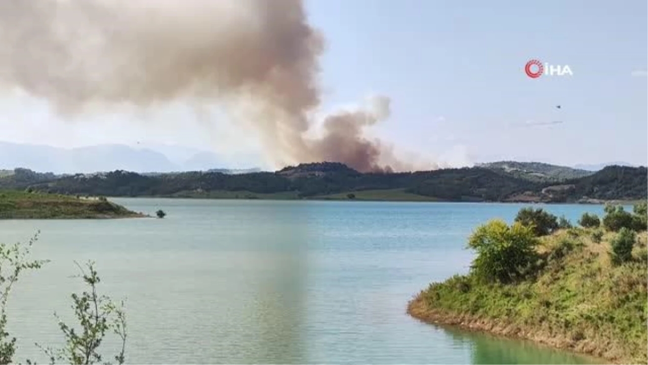Adana'da Orman Yangını: Havadan ve Karadan Müdahale Başladı