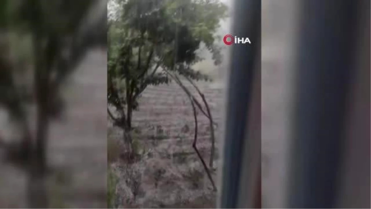 Bingöl'de Sel Felaketi: 6 Ahır Zarar Görürken 4 Büyükbaş Hayvan Telef Oldu