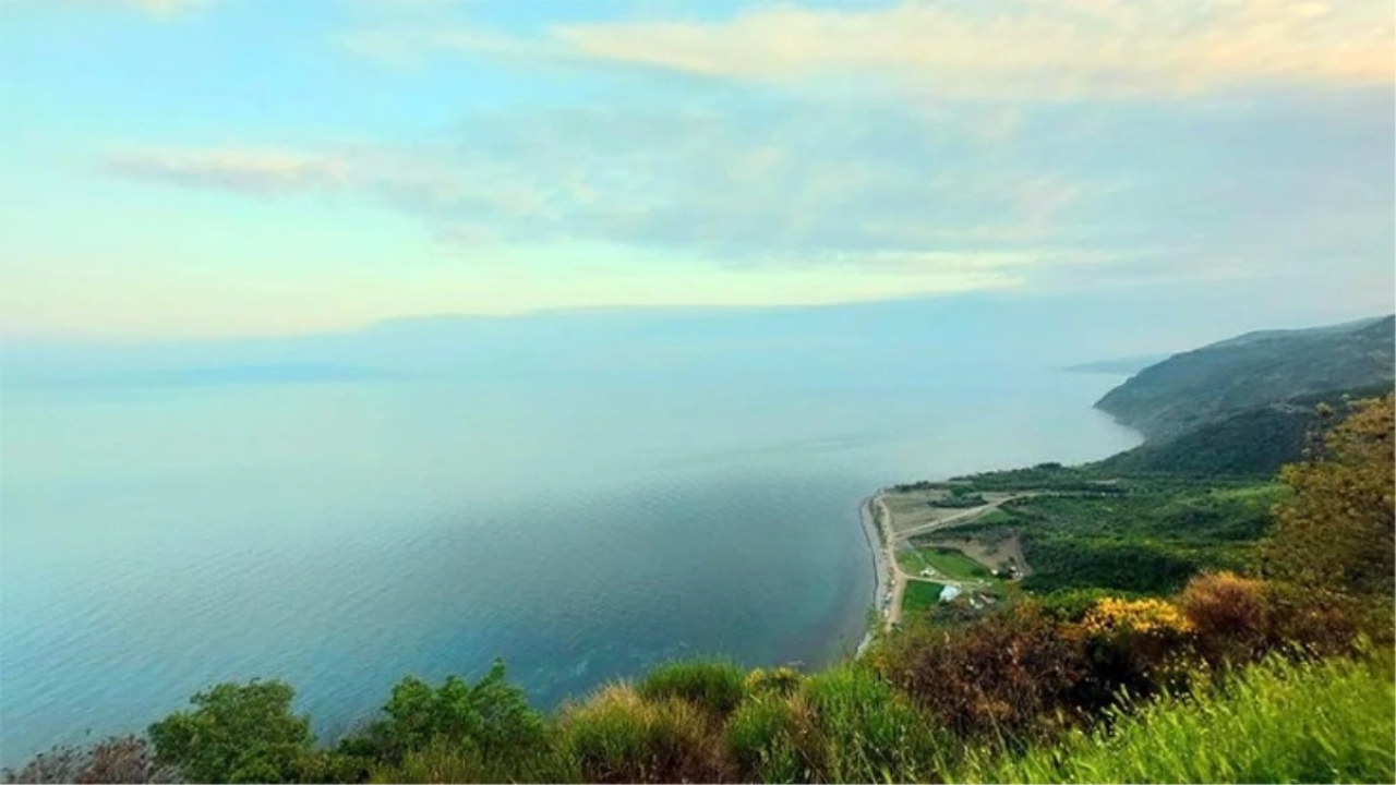 Tekirdağ'da Ormanlarda Mangal ve Ateş Yakmak Yasaklandı
