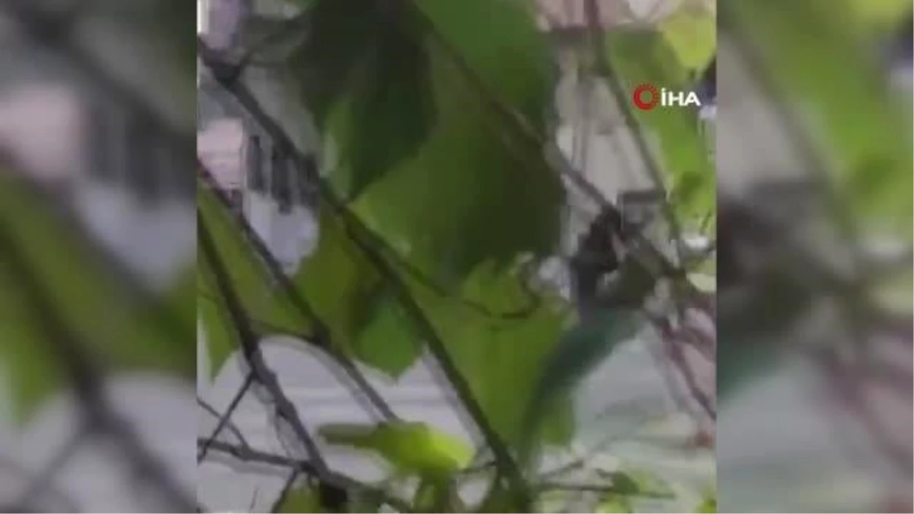 İstanbul'da Kız Meselesi Yüzünden Çıkan Kavga Kanlı Bitti