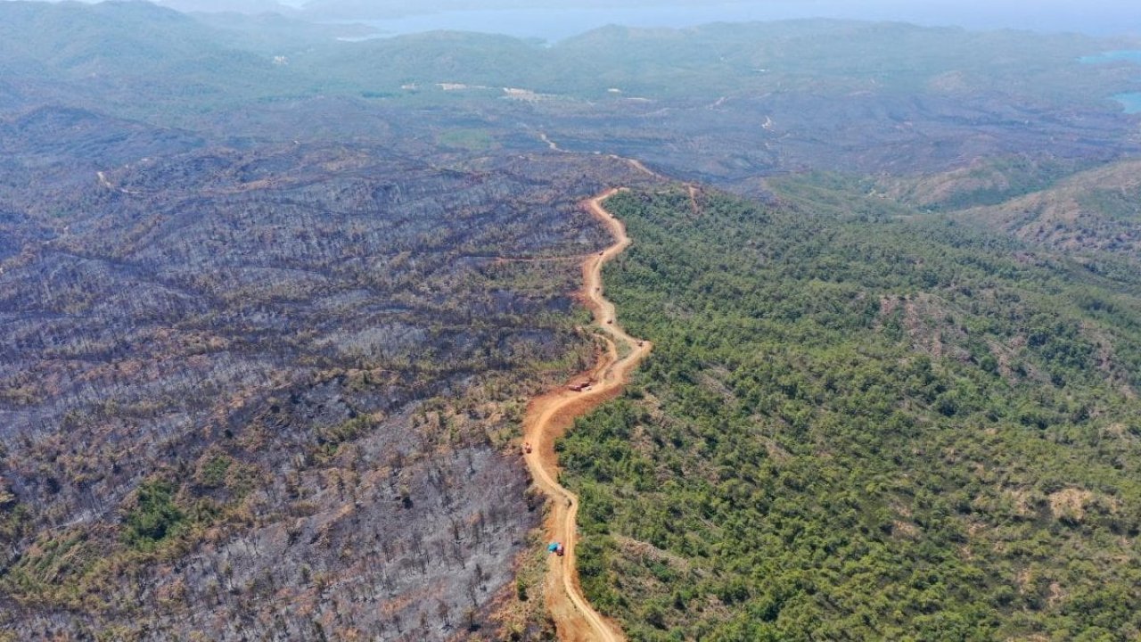 Cesedi yakarken ormanı yakmışlardı: Marmaris'teki orman yangınında bulunan ceset Belçikalı vatandaşa ait çıktı