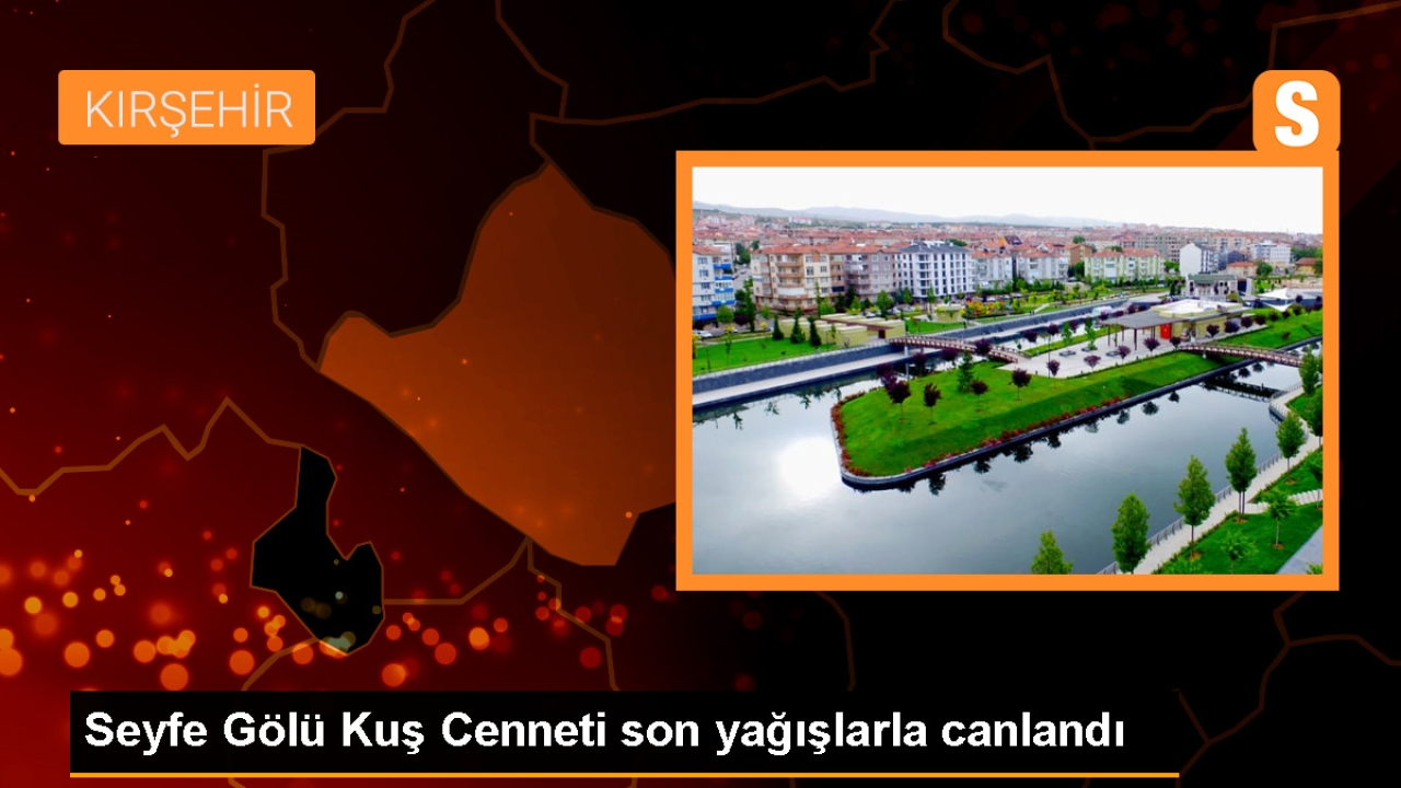 Seyfe Gölü'nde turnalar, ördekler ve flamingolar konaklamaya başladı