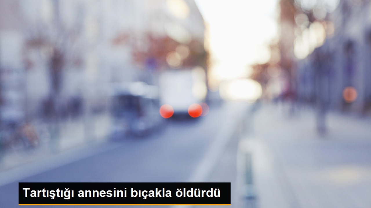 Ankara'da aile içi tartışmada oğlu tarafından bıçaklanan kadın hayatını kaybetti