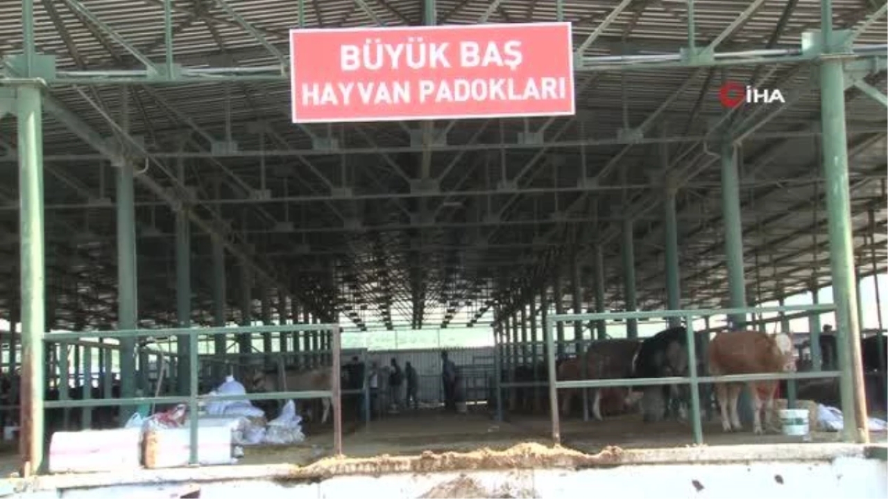 Eskişehir'deki kurban satıcıları zorluklarla karşı karşıya
