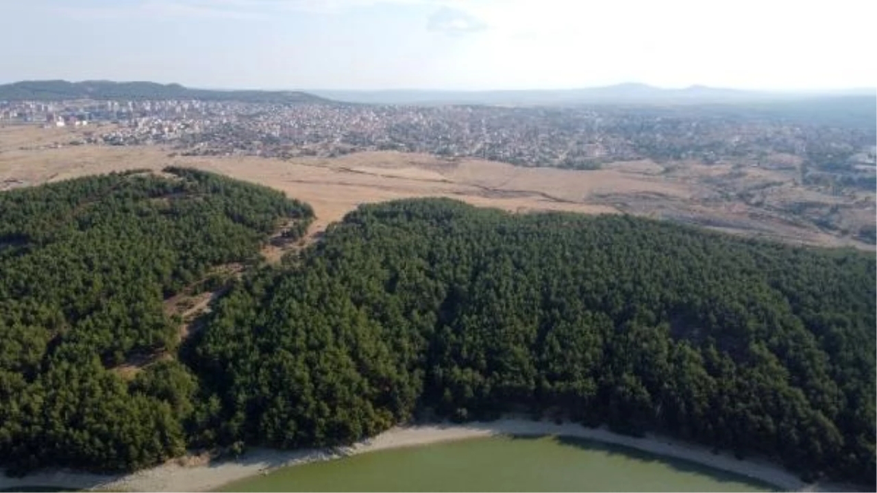 Edirne'de Ormanlara Girişler 15 Ekim'e Kadar Yasaklandı