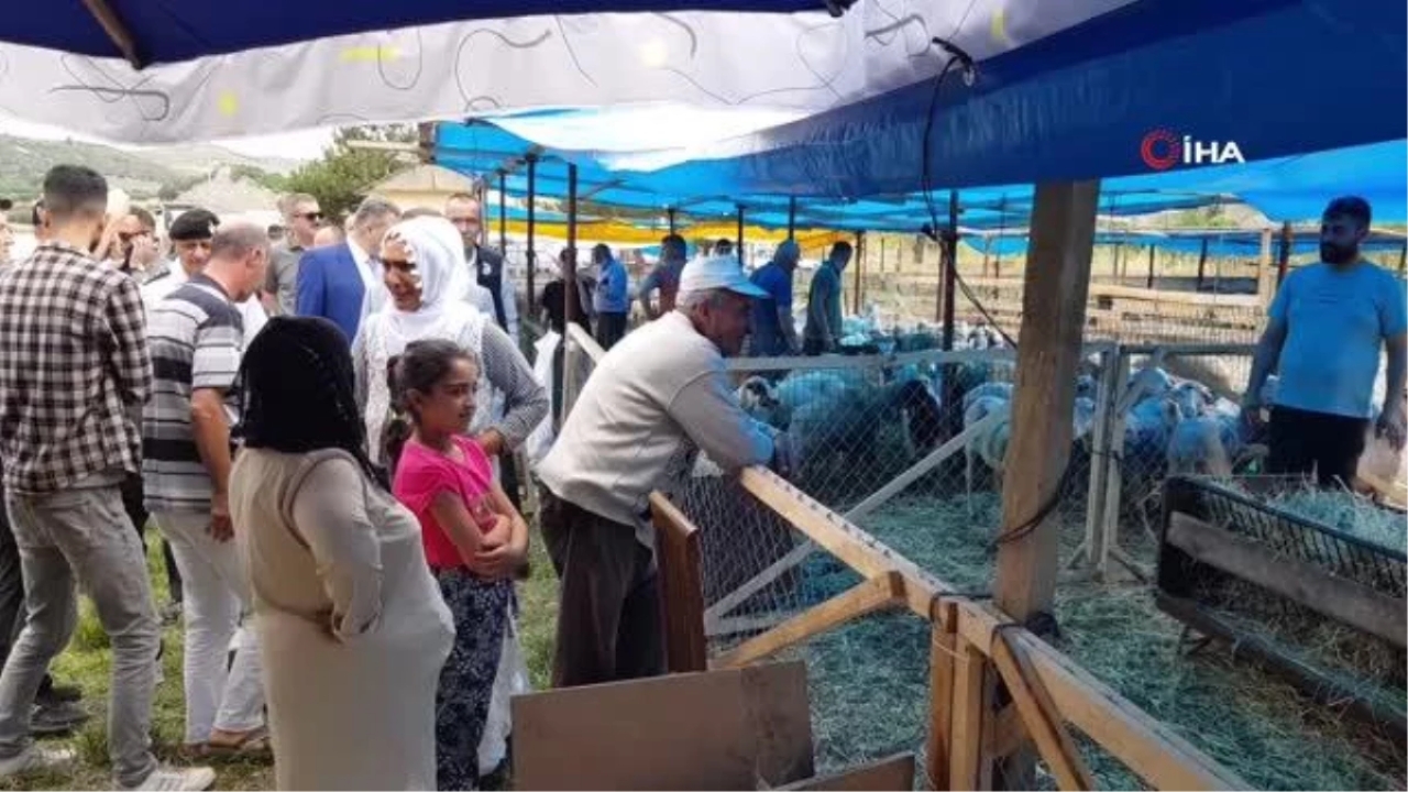 Vali Gürel, kurbanlık pazarını gezdi