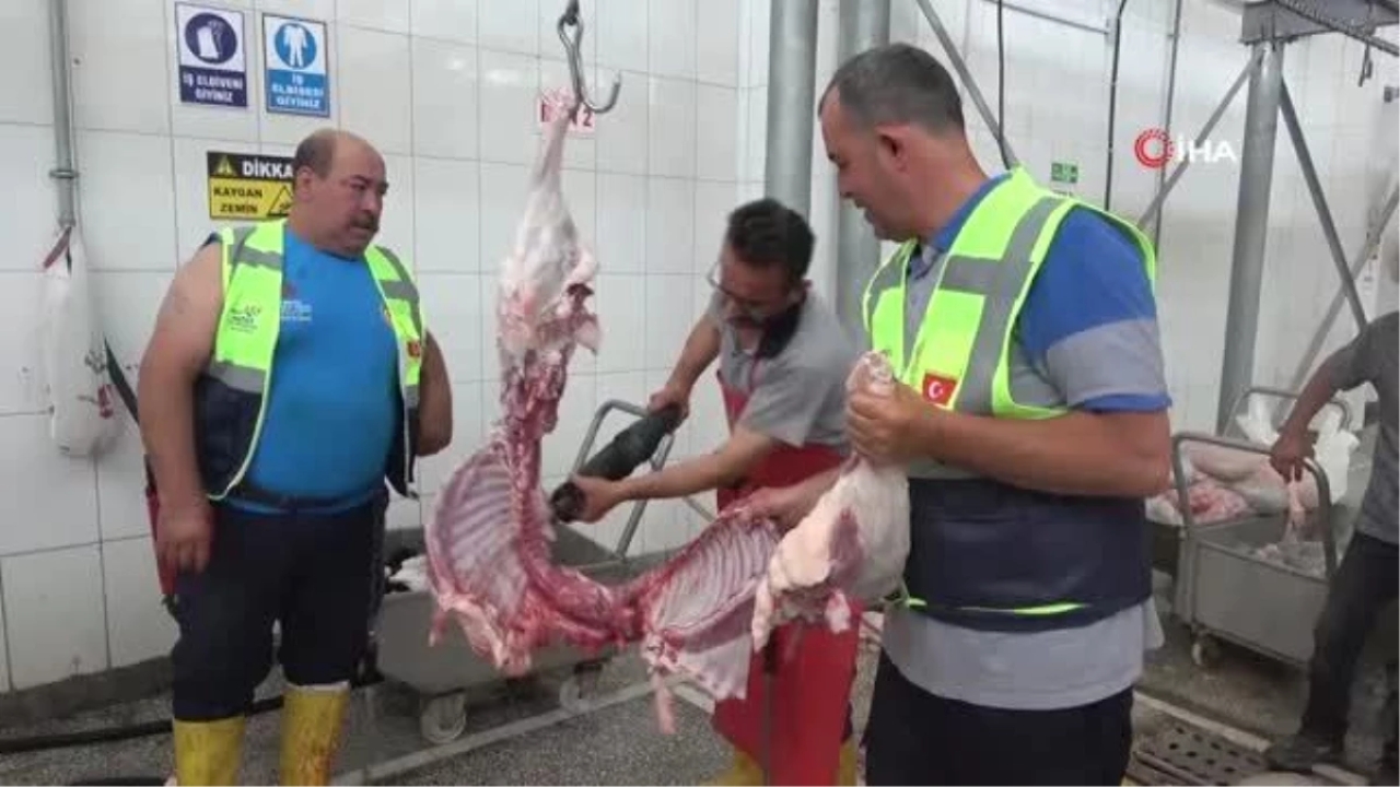 Enkaz kent Hatay'da mezbahaneler boş kaldı