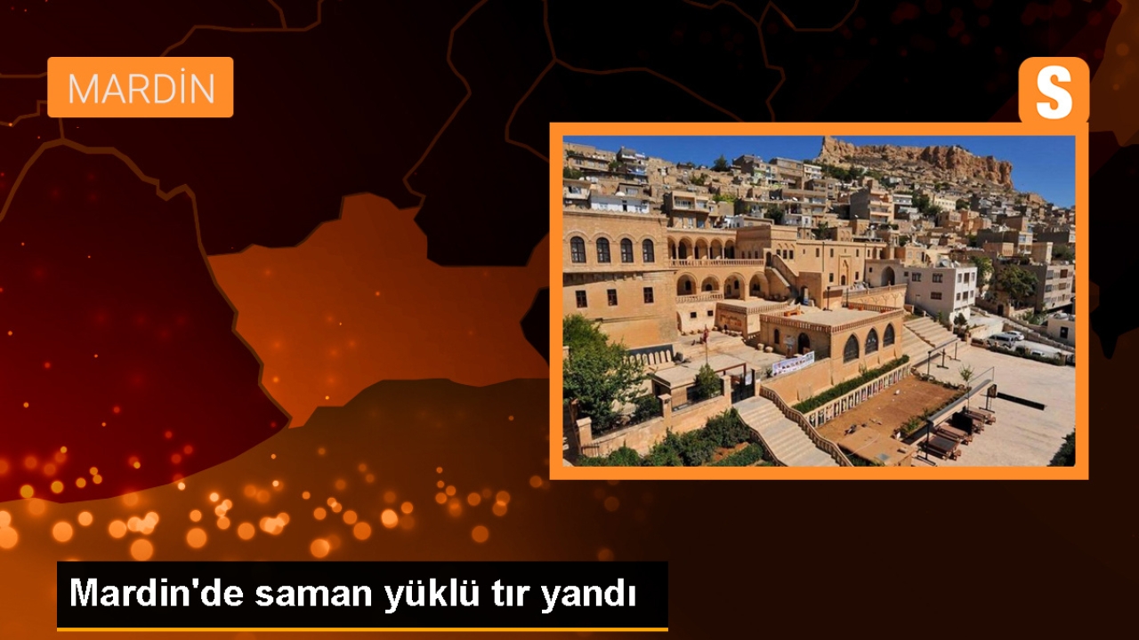 Mardin'de saman yüklü tır tarlada yandı