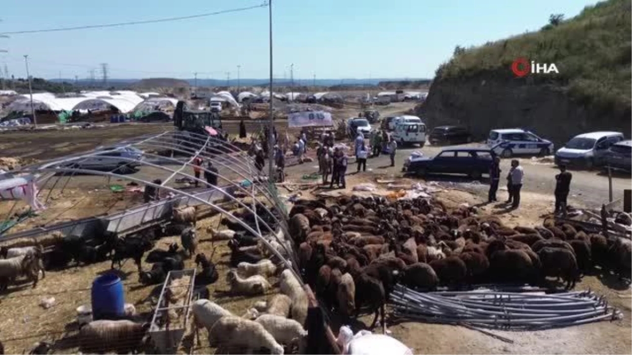 Bayramın 3. gününde besicilerin dönüş yolculuğu başladı