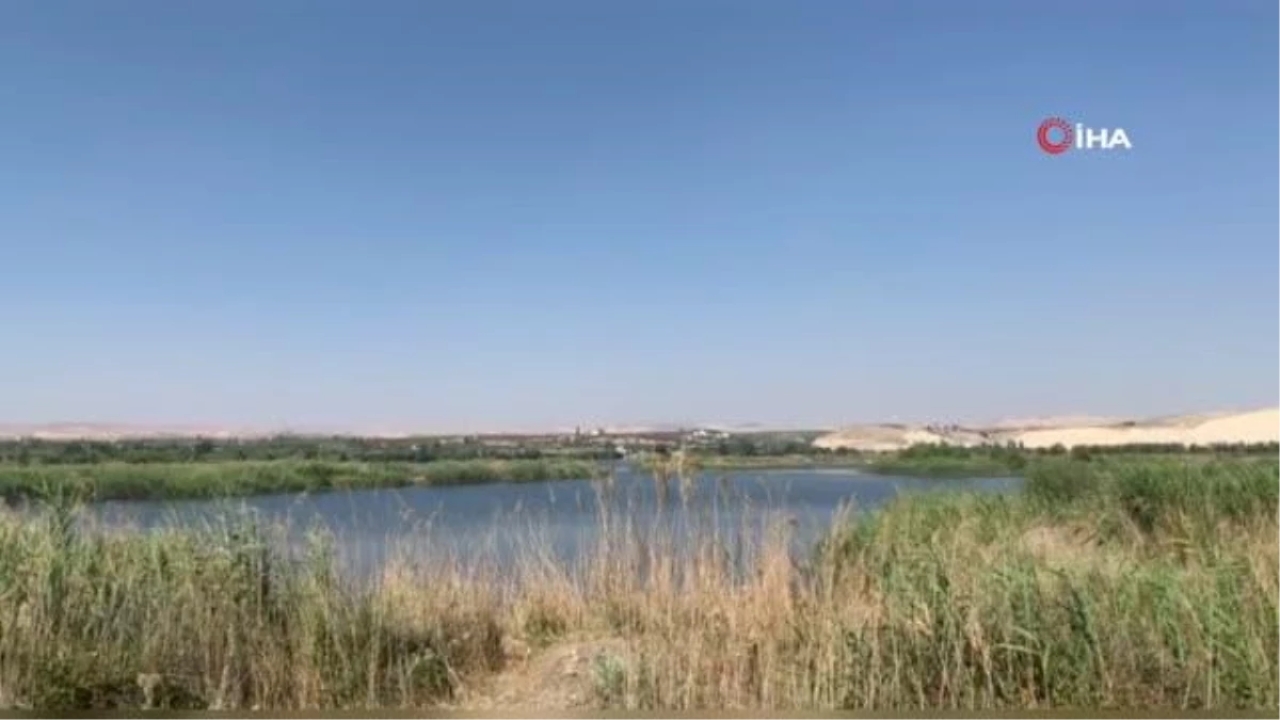 Şanlıurfa'da piknik faciası: Akıntıya kapılan 2 kişi boğuldu, 3 kişi yaralı kurtarıldı