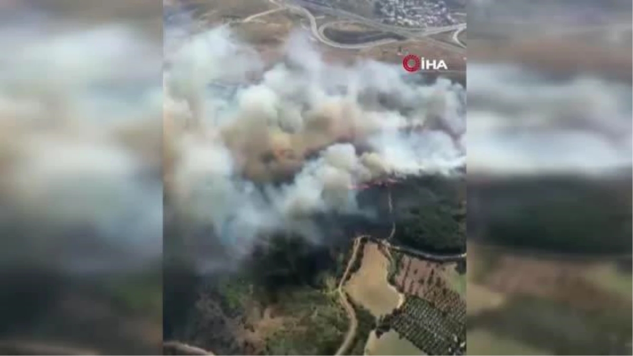 İzmir'de ormanlık alanda çıkan yangına 6 uçakla müdahale sürüyor