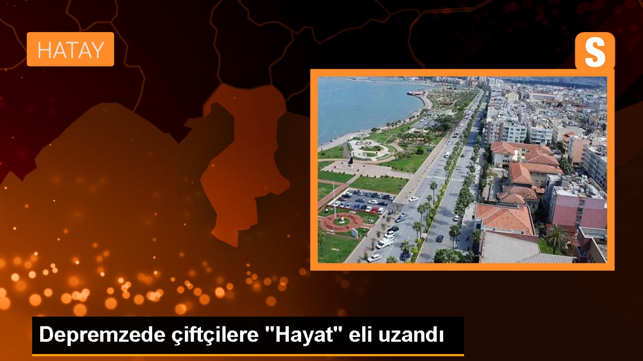 Depremzede çiftçilere