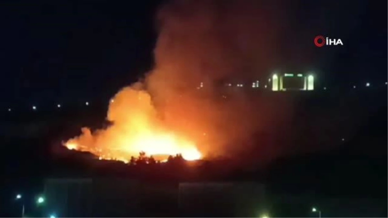 Şanlıurfa'da ormanlık alanda yangın paniği