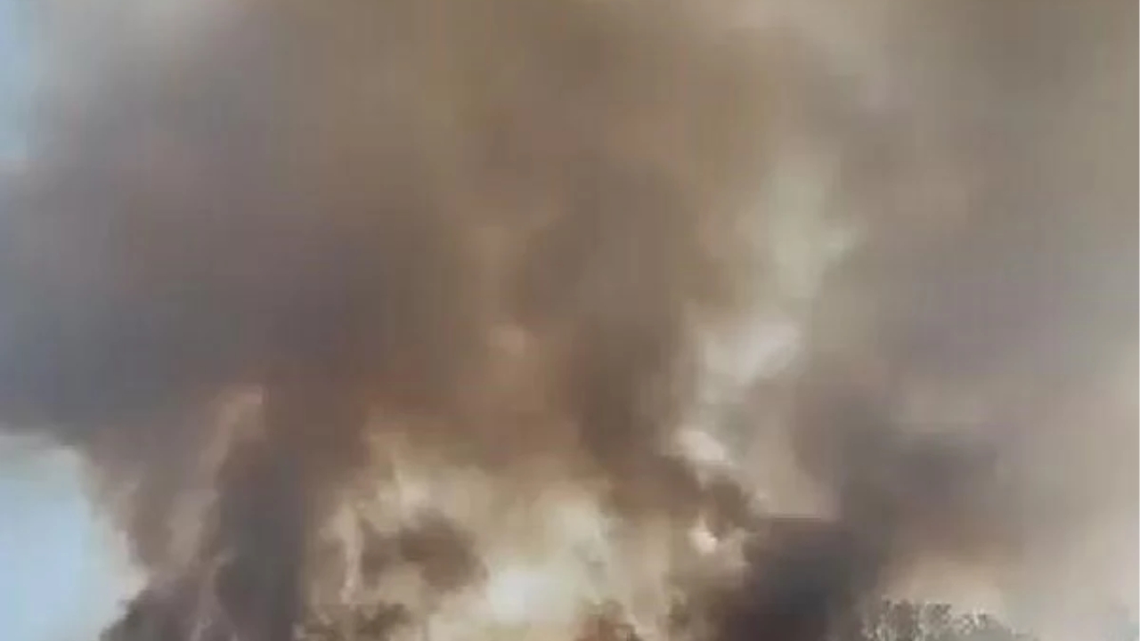 Çatalca'da tarlada yangın çıktı -1
