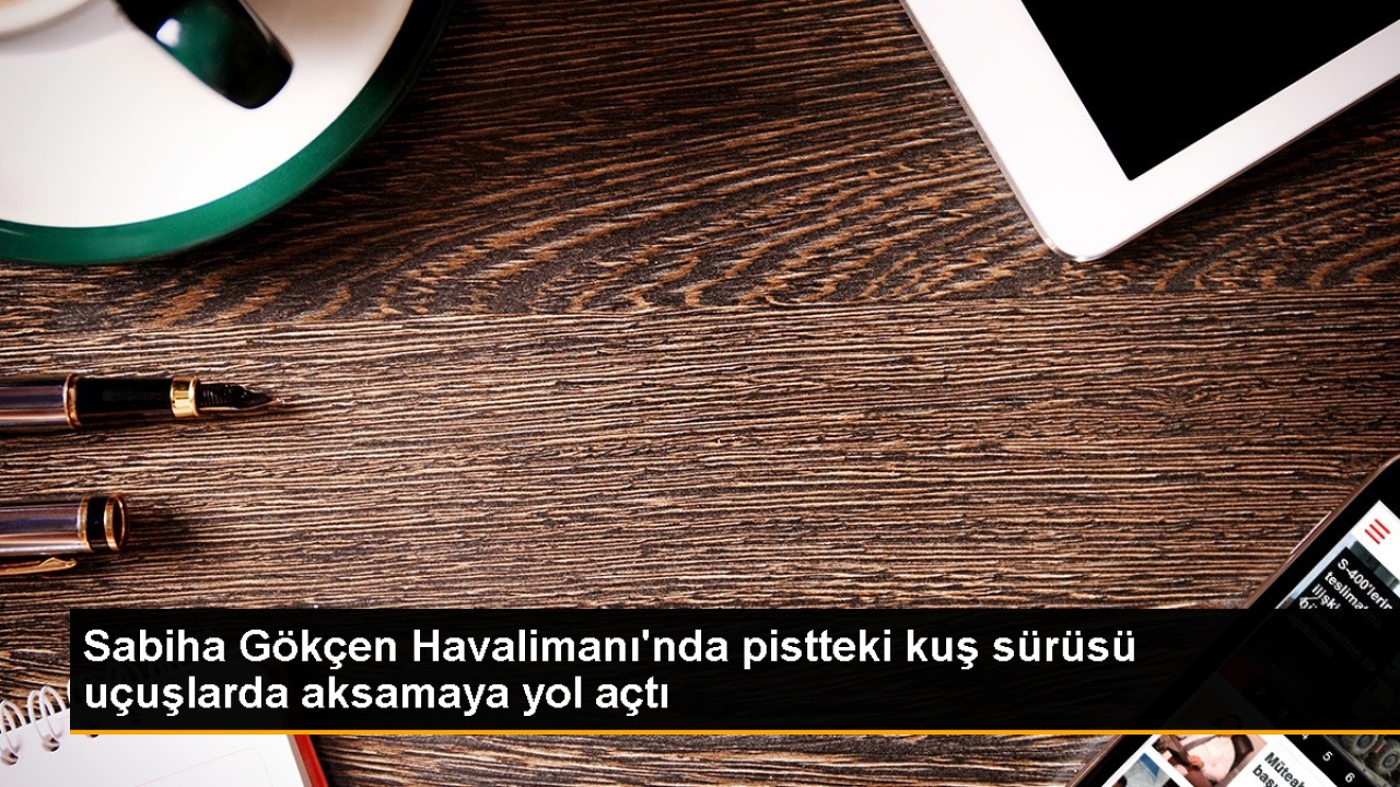 Sabiha Gökçen Havalimanı'nda Kuş Sürüsü Nedeniyle Uçuşlarda Kısa Süreli Aksama