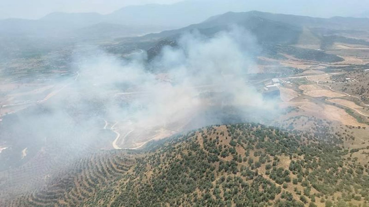 İzmir'de tarlada çıkan yangın, ormana sıçradı