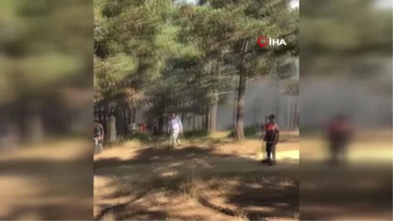 Sultangazi'de Kent Ormanı'nda Yangın