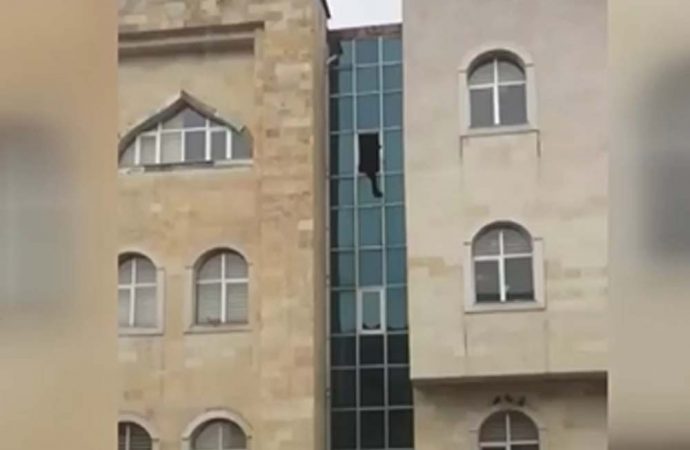 Kaymakamlık binasında intihar girişimi!