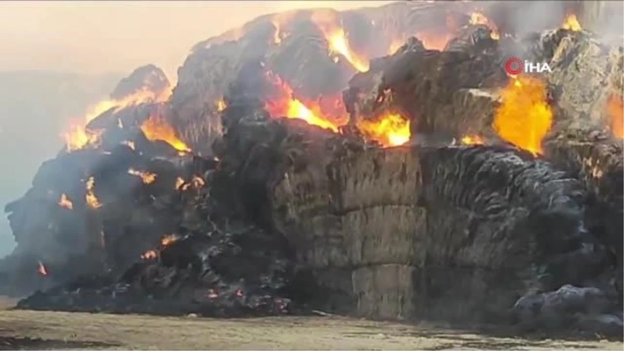 Şanlıurfa'da 5 bin ton saman kül oldu