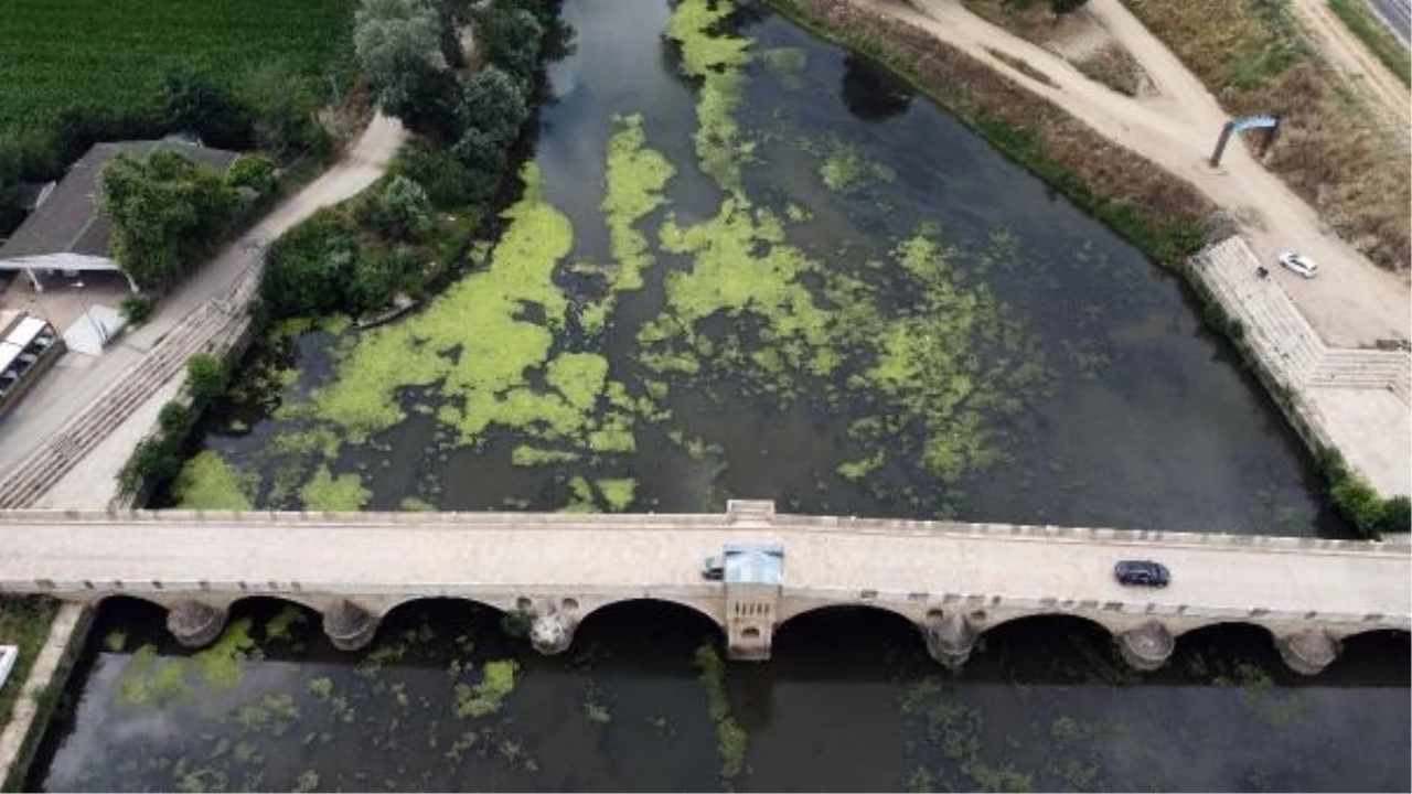 Tunca Nehri'nde Su Seviyesi Düşüyor ve Kirlilik Artıyor
