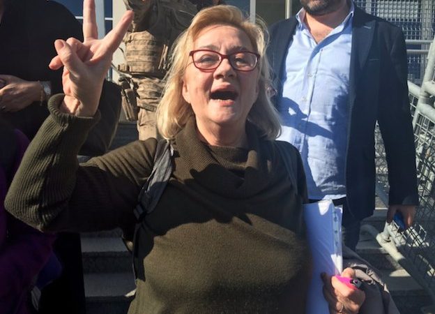 Mücella Yapıcı: Demek ki neymiş… Gezi yargılanamaz, Gezi onurdur, Gezi kirletilemez