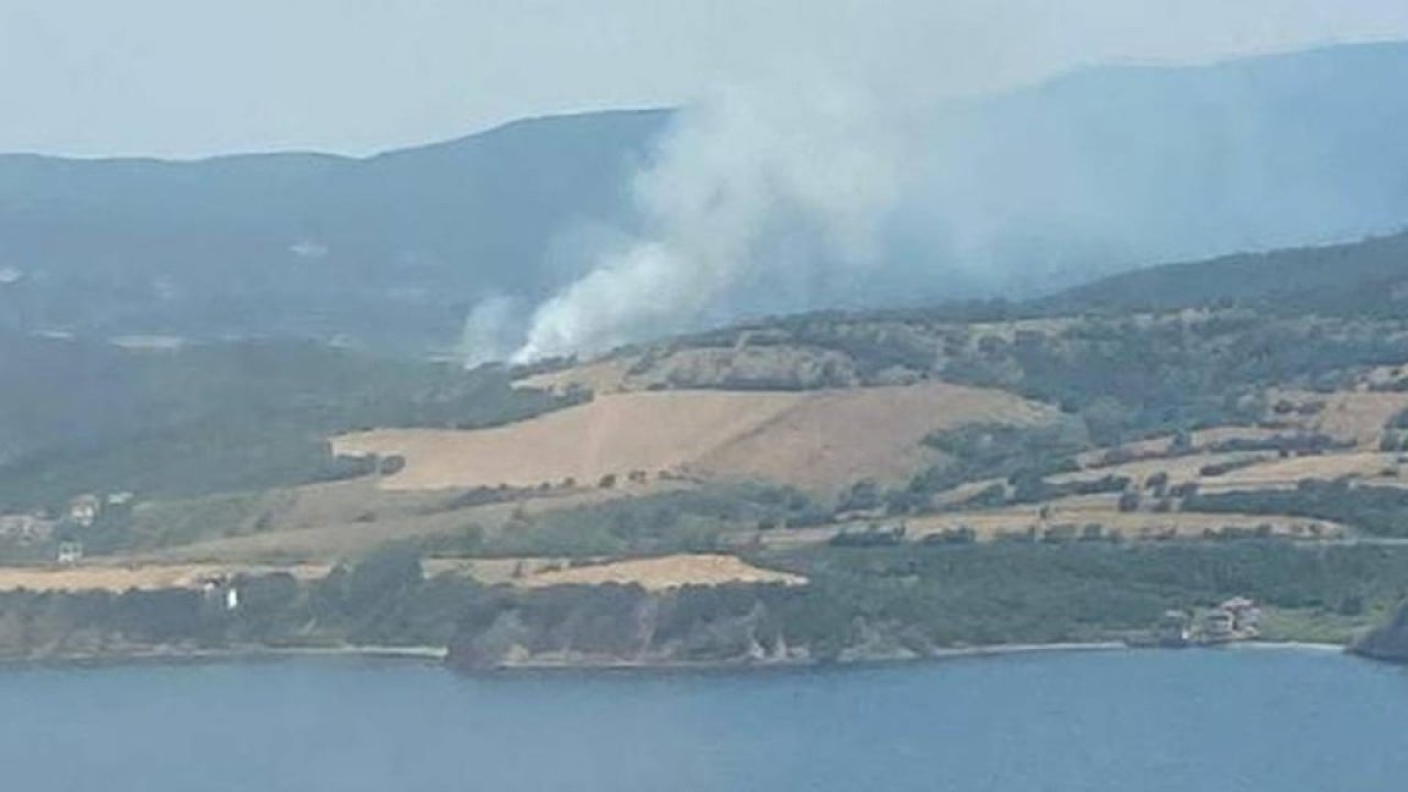 Çanakkale'de orman yangını