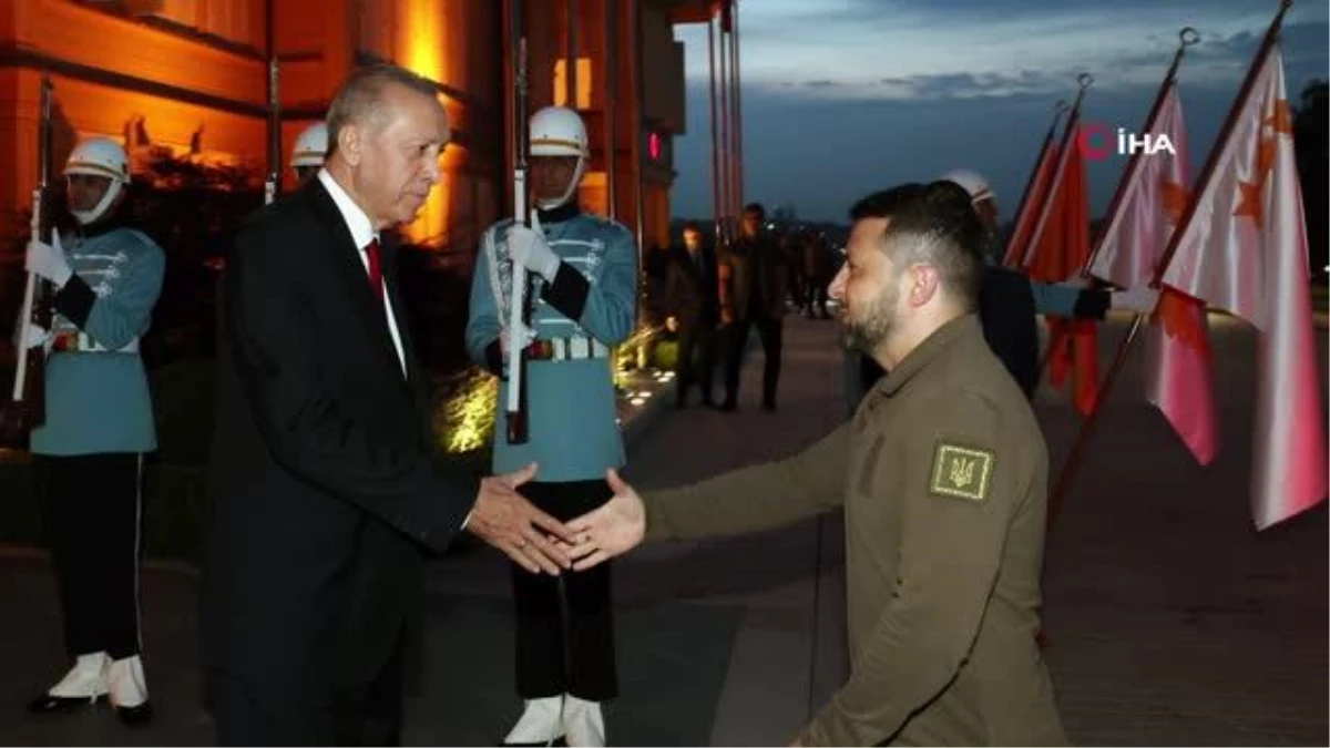 Erdoğan, Zelenski görüşmesi başladı