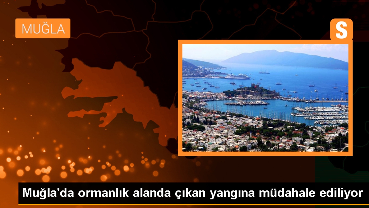 Muğla'nın Dalaman ilçesinde orman yangını kontrol altına alınıyor