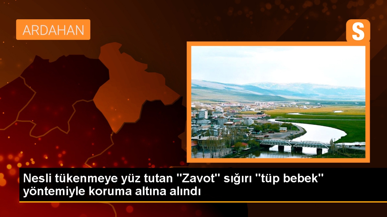 Nesli tükenmeye yüz tutan 