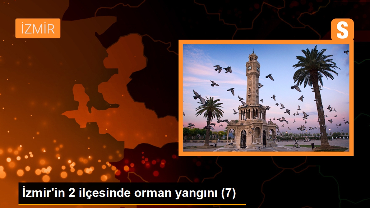 İzmir'in 2 ilçesinde orman yangını (7)