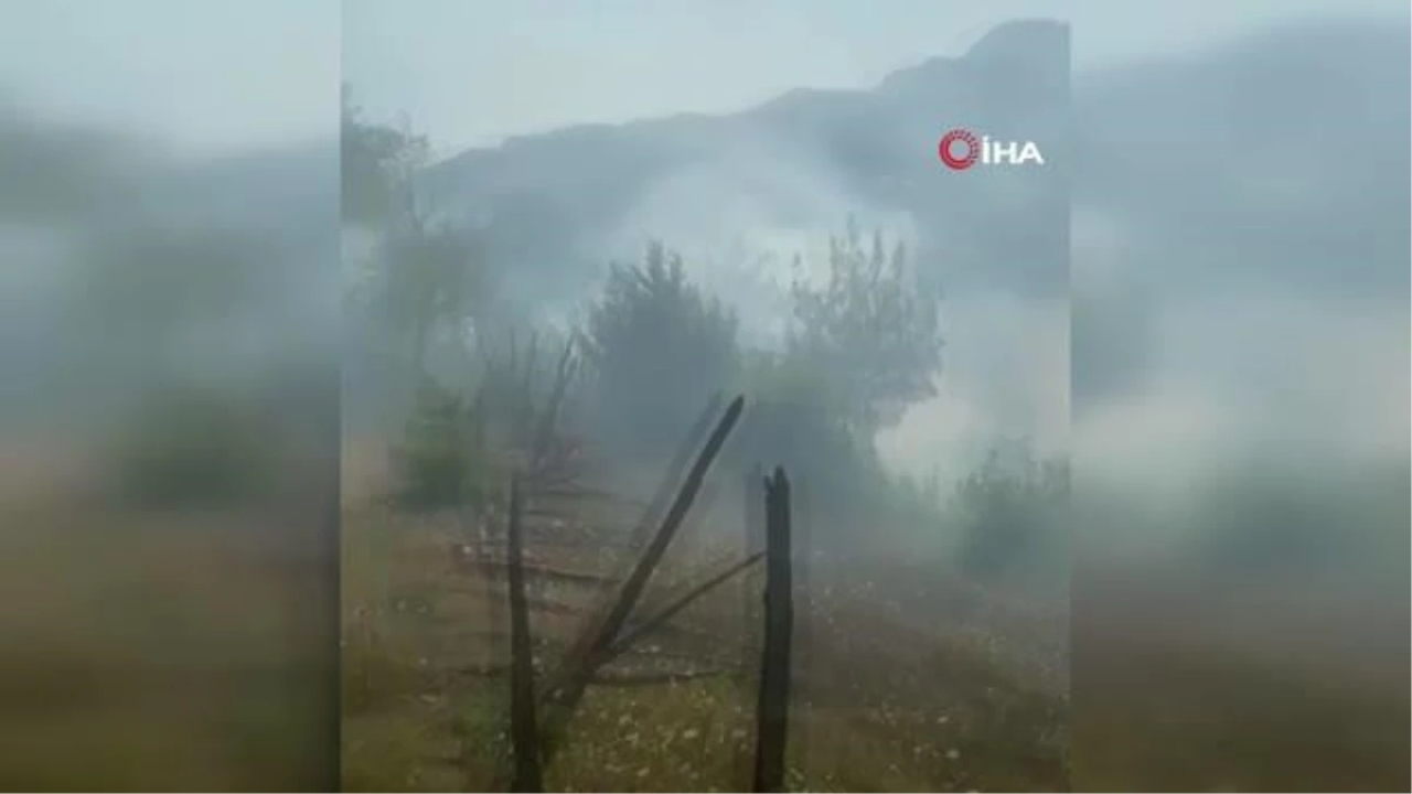 Adana'da ikinci orman yangını, ekipler müdahaleye başladı
