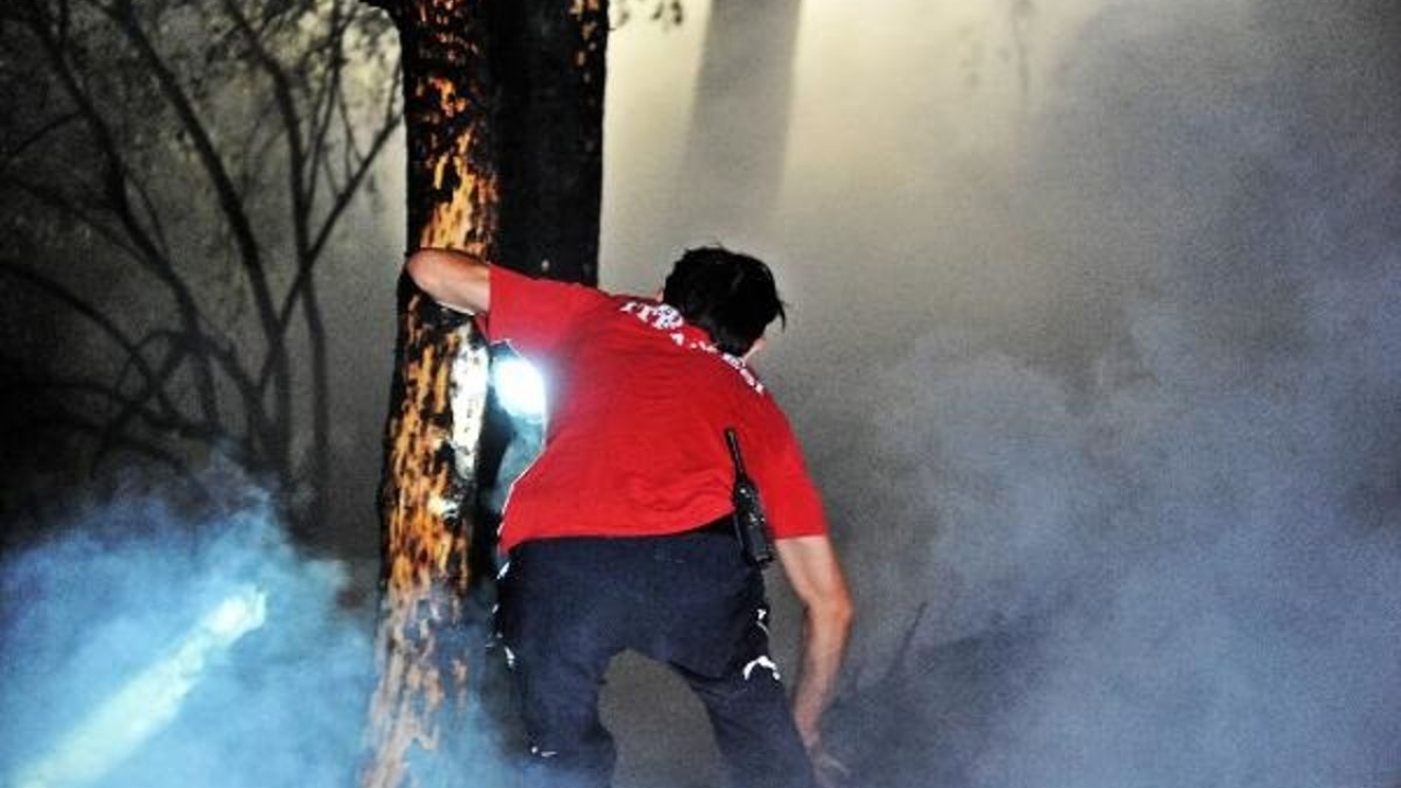 Bursa'da çıkan orman yangını kontrol altına alındı, şüpheli gözaltına alındı