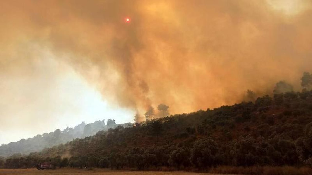 Milas'ta 160 hektarlık alanı küle döndüren yangın sigara izmaritinden çıkmış