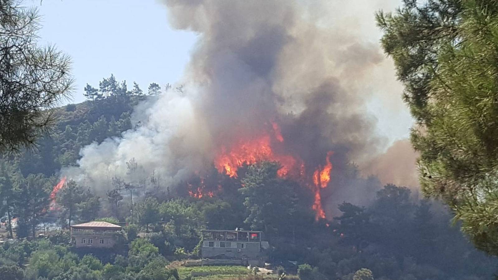 Manavgat'taki orman yangını kontrol altına alındı