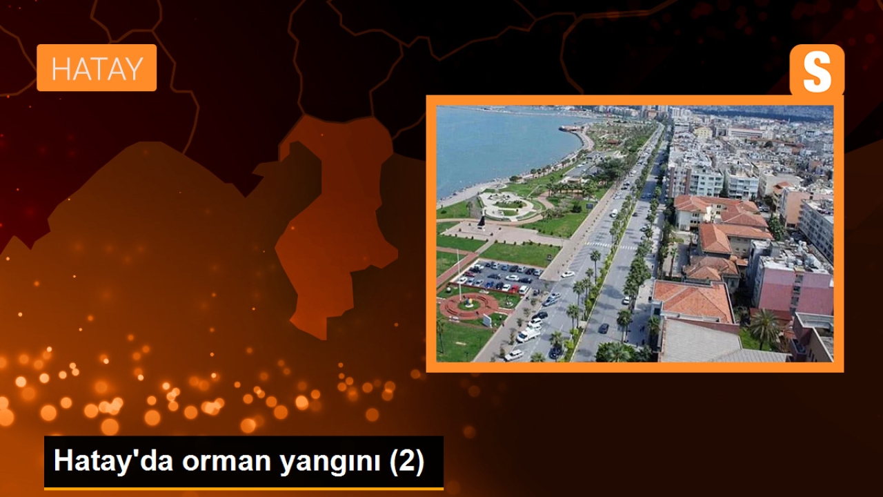 Hatay'ın Belen ilçesinde orman yangını: Evler tahliye ediliyor
