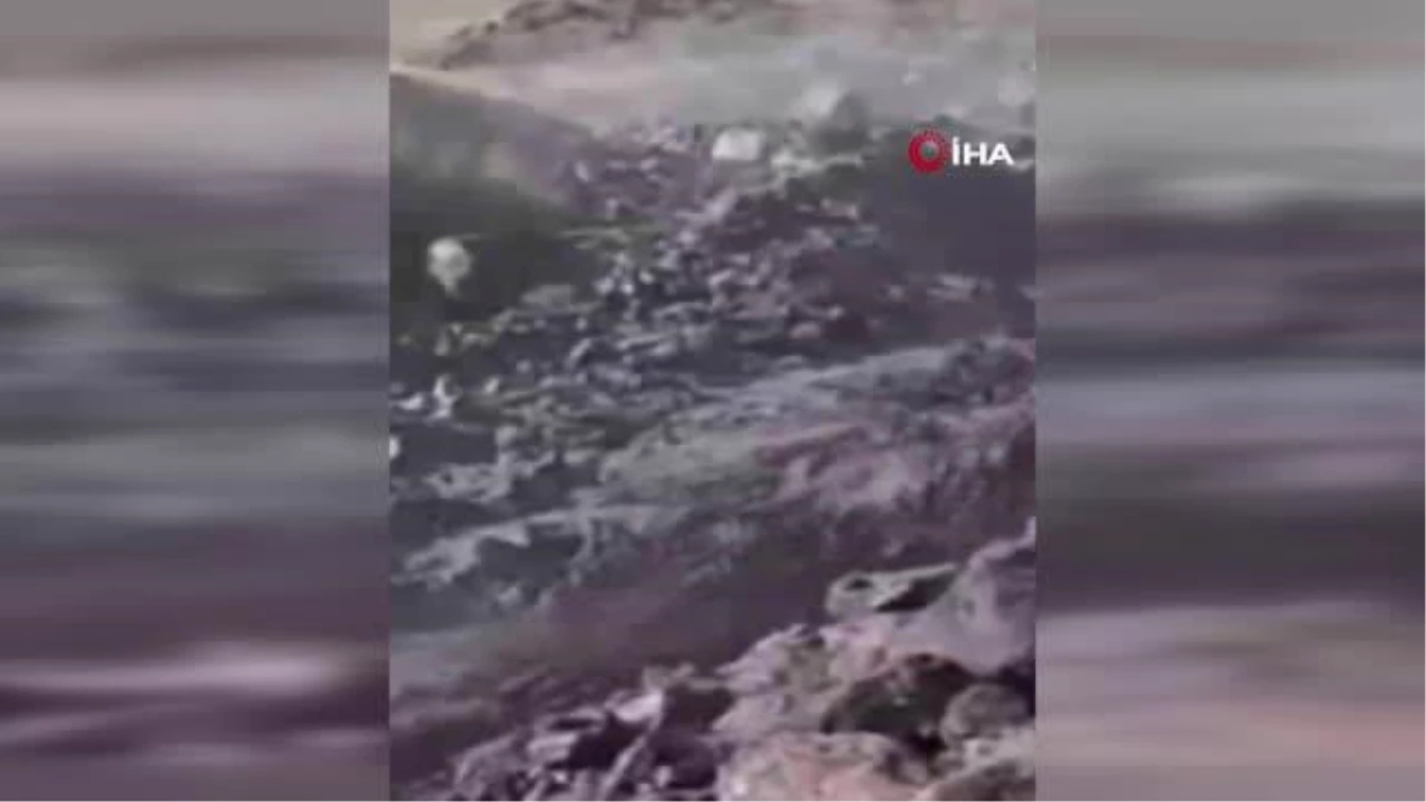 Ağrı Dağı'nda eriyen kar sele neden oldu