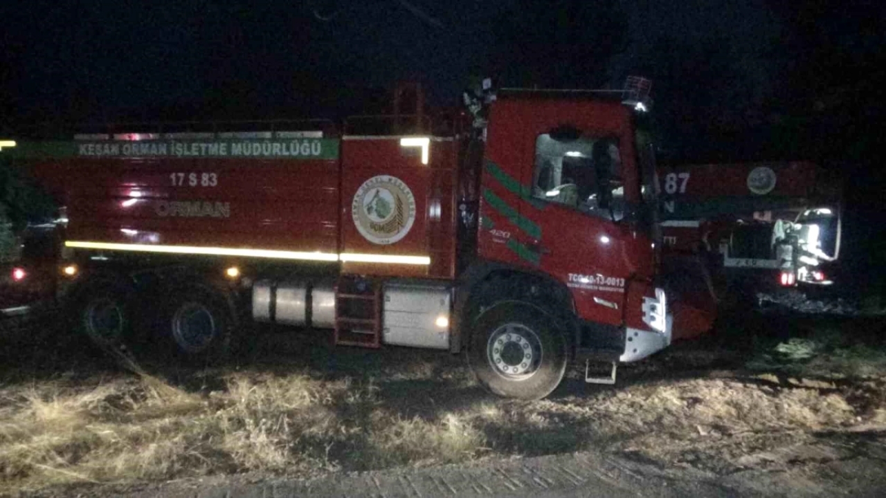 Çanakkale'de Kızılkeçili Köyü yakınlarında orman yangını
