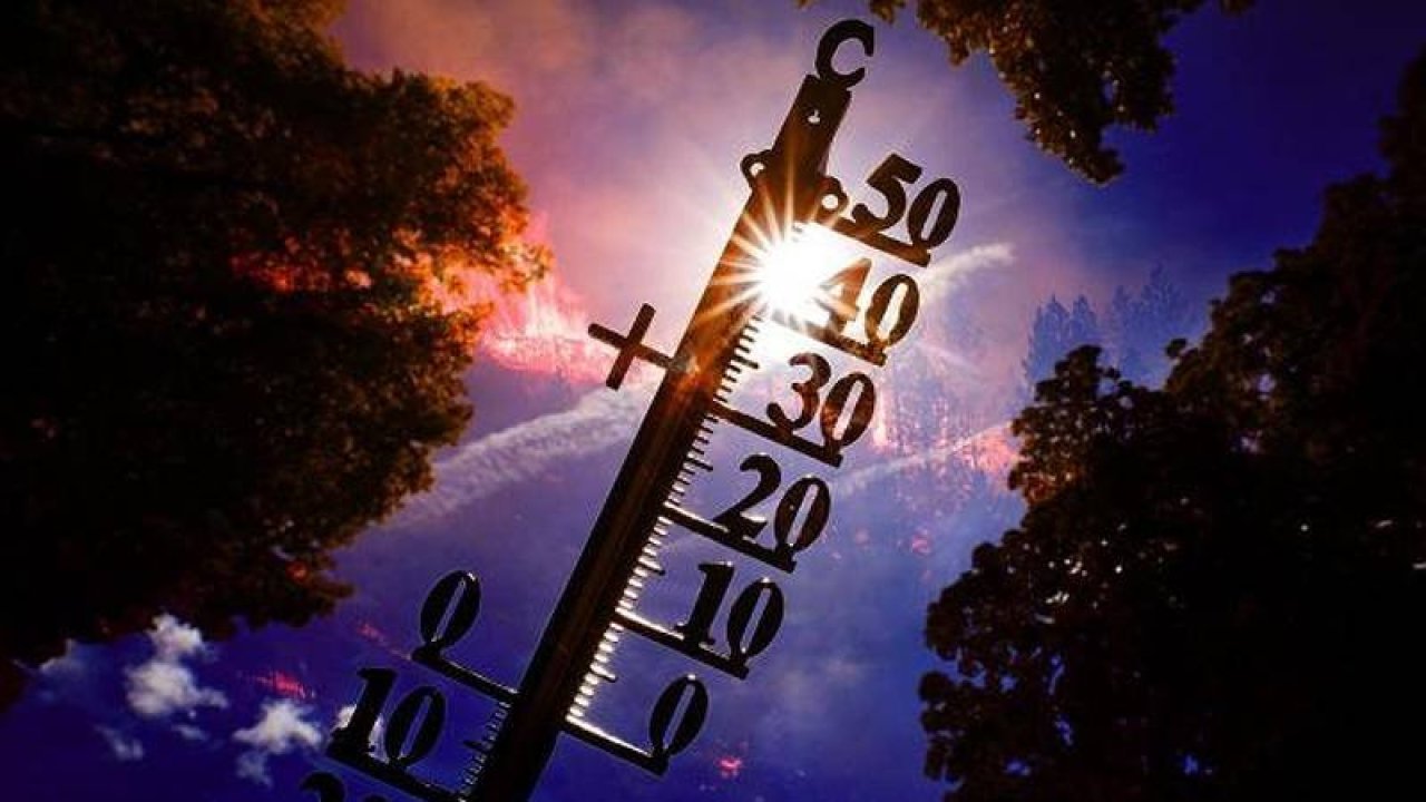 WMO: Dünya daha yoğun sıcaklık dalgalarına hazır olmalı