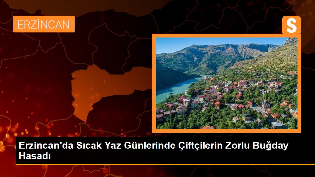 Erzincan'da Sıcak Yaz Günlerinde Çiftçilerin Zorlu Buğday Hasadı