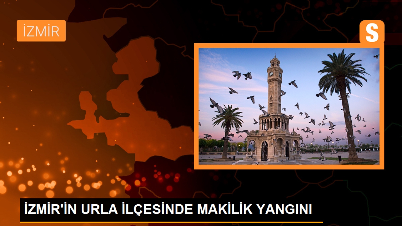 Urla'da Makilik Alanda Yangın Çıktı